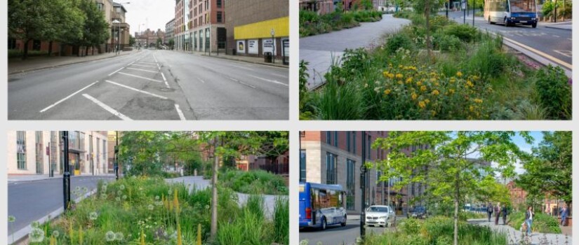 Sustainable_Drainage_System_sheffield